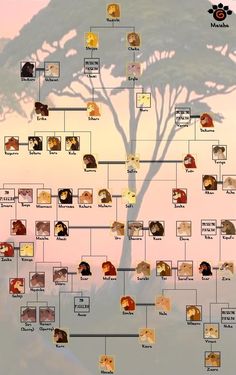 a family tree is shown with many pictures