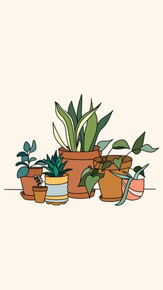 some potted plants are sitting on a shelf