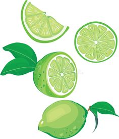 limes are cut in half and placed on top of each other with green leaves