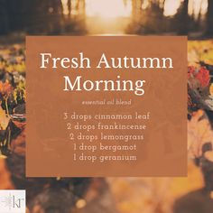 Cinnamon Leaf Diffuser Blends, Bergamot Diffuser Blend, Morning Essential Oil Blend, Geranium Diffuser Blend, Essential Oil Combos, Get Fair Skin, Tomato Face, Fall Diffuser Blends