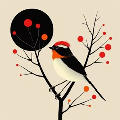 a bird sitting on top of a tree next to a red and black ball filled with berries