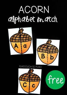 an acorn alphabet match with free printables