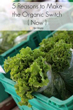 lettuce in plastic containers with text overlay reading 5 reasons to make the organic switch now