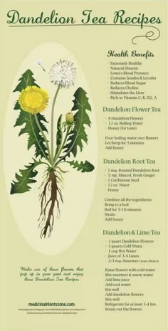 the dandelion tea recipe is shown with its roots and flowers on it's side