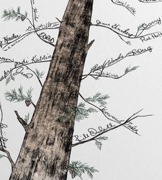 a drawing of a tree with many names written on it's trunk and branches