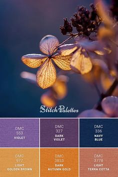 the color palette is shown in shades of purple, orange and yellow with an image of a leaf on it