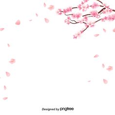 pink flowers are falling from the branches of a cherry blossom tree on a white background