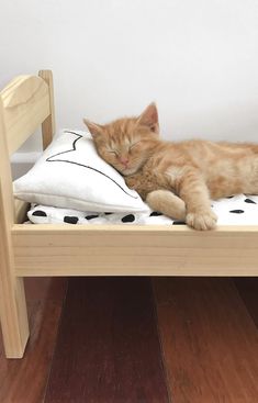 an orange cat laying on top of a bed next to a white pillow and wooden frame