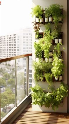 a vertical herb garden on the side of a building