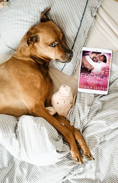 a brown dog laying on top of a bed next to a book and a stuffed animal