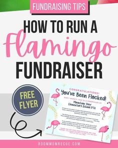 a flamingo fundraiser flyer with the text, how to run a flamingo fundraiser