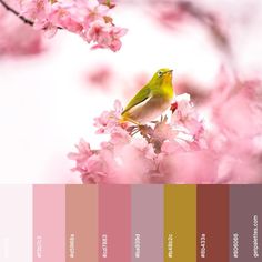 a bird sitting on top of a tree filled with pink flowers