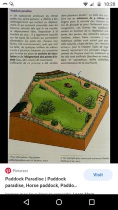 an image of a book page with the title paddock paradise i paddock paradise, horse paddock, paddock