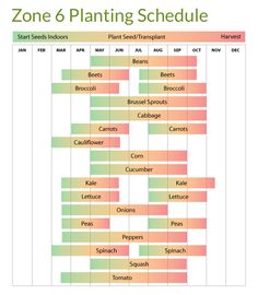 the zone 7 week garden schedule