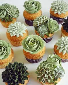 cupcakes with green frosting and succulents are arranged on a white surface