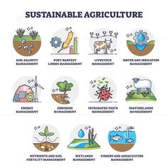 an image of the different types of plants and animals that can be used to describe what they