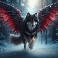 a black and white wolf with red wings running through the snow in front of trees