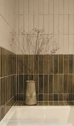 a plant in a vase sitting on top of a bath tub next to a tiled wall