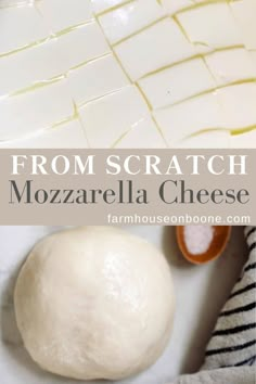 homemade mozzarella cheese from scratch with text overlay