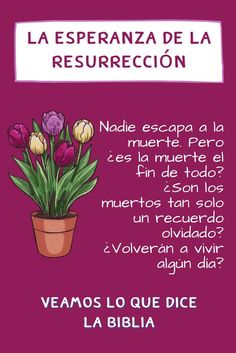 La muerte tiene solución What Is Gods Kingdom Jw Letter, Cartas Ideas, Jw Letter Writing Samples Spanish, Ideas Cartas, Bible Thoughts, Jw Family, Family Worship