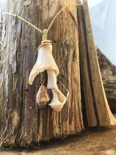 two seashells hanging from a chain on a piece of wood