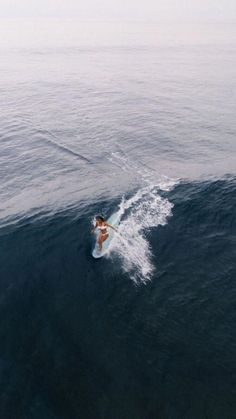 a person on a surfboard in the water