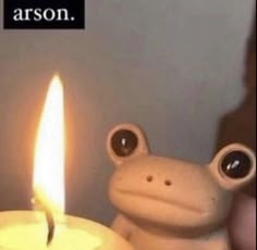 a person holding a small toy frog next to a lit candle with the words aaron on it