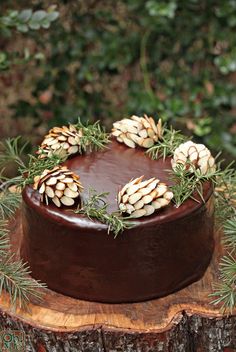 a chocolate cake topped with pine cones and greenery on top of a tree stump