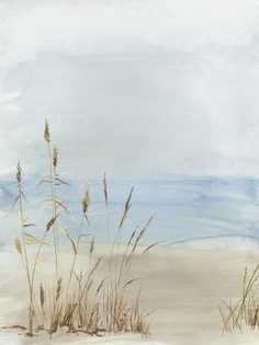 some tall grass sitting on top of a sandy beach