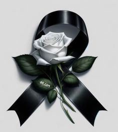 a white rose with black ribbon and leaves