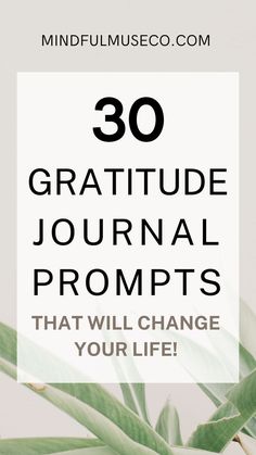 a plant with the words 30 gratitude journal prompts that will change your life