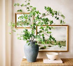 a plant in a vase sitting on top of a table next to a framed painting