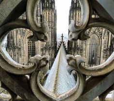 the view from behind an ornate iron gate at cathedrals in cologne, germany on a sunny day