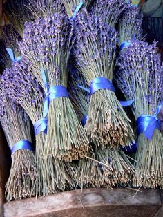 bundles of lavender flowers tied with blue ribbon