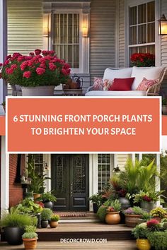 Cozy front porch adorned with vibrant plants including red flowers and a variety of greenery, adding charm to the home's entrance. Front Porch Plants Year Round, Front Porch Plant Ideas, Full Sun Planters, Cottage Front Porch, House Entrance Doors, Apartment Front, Front Porch Flower Pots, Front Door Plants, Front Porch Plants