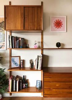 a living room with a christmas tree and bookshelves on the wall above it