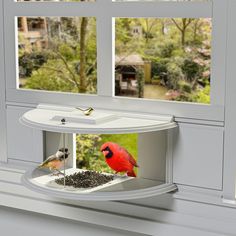 two birds perched on top of a bird feeder in front of a window with trees outside