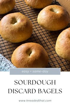 Sourdough discard bagels. Sourdough Discard Beagles, Sourdough Discard Bagels No Yeast, Sourdough Discard Bagels Easy, Sourdough Discard Bagels Recipe, Sourdough Discard Bagels, Discard Bagels, Malted Milk Powder, Ny Bagel, Recipes With Yeast