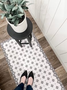 a person standing on a rug next to a potted plant