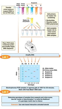 a diagram showing the steps in how to use an electronic device for testing urines