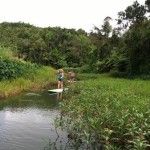 a person standing on a surfboard in the middle of a river surrounded by trees