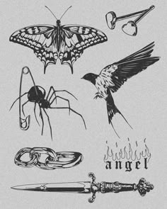 an image of different types of bugs and insects