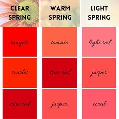 Spring Skin Tone, True Spring Palette, True Spring Color Palette, Warm Spring Color Palette, Light Spring Palette, Summer Skin Tone, Light Spring Color Palette, True Spring Colors, Light Summer Color Palette