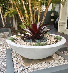 a large white planter filled with lots of rocks and greenery next to a palm tree