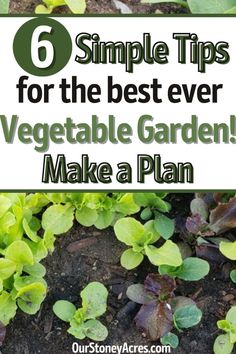 An important step in your backyard vegetable gardening is to plan a garden layout. Learn how to plan a garden for beginners with these 6 simple gardening tips. Planning your garden each year helps you get ready for the season.  Find more garden planning ideas and learn about planting vegetables and vegetable gardening. Plan A Garden, Planning Garden, Garden Planning Layout, Cold Frames, Make A Map, Vegetable Garden Tips, Garden Plan