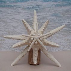 a white starfish sculpture sitting on top of a sandy beach next to the ocean