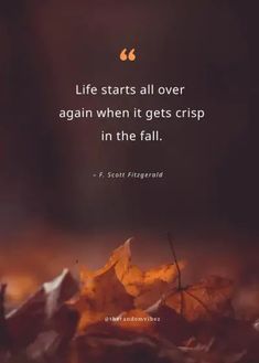 a leaf laying on the ground with a quote about life starts all over again when it gets crisp in the fall