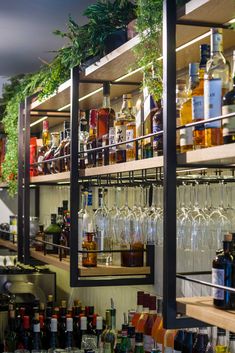 bottles and glasses are lined up on the shelves