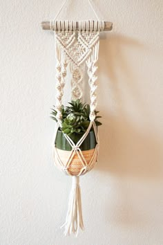 a macrame hanging planter with succulents in it