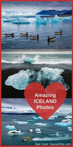 an image of the ocean with icebergs and ducks in it, as well as text that reads amazing iceland photos